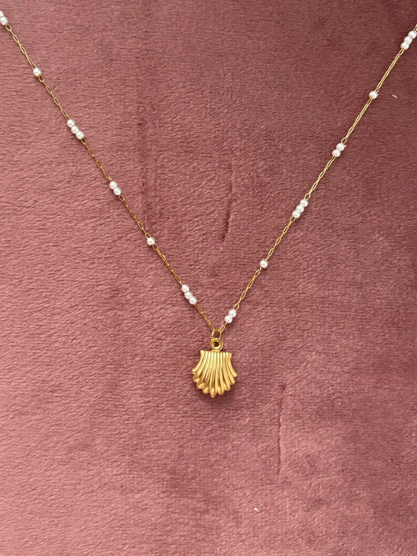 Ketting shell pearl