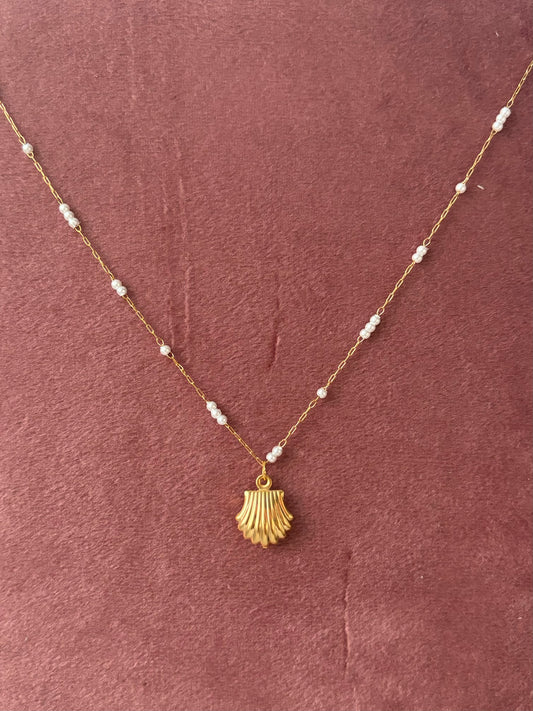 Ketting shell pearl