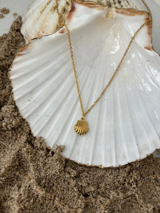 Trendy Ketting Shell van stainless steel in goud – tijdloos en verfijnd ontwerp, perfect voor dagelijks gebruik of speciale gelegenheden